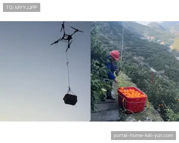 无人机与飞猫索道系统协同拍摄 构建立体化全场视觉覆盖网络。